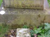 image of grave number 622548